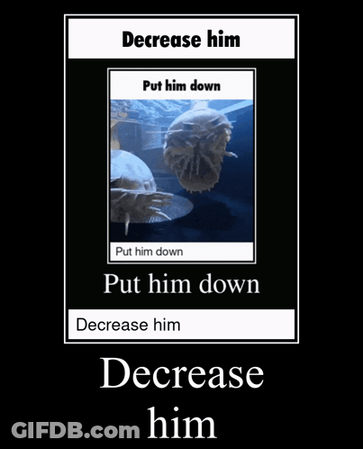 Poster Decrease Him Put Him Down Put Him Down GIF