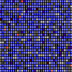 Programming Computer Coding GIF